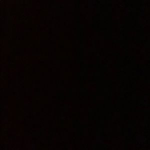 Meet your Posher, Brooklyn